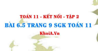 Bài 6.5 trang 9 Toán 11 Kết nối tri thức Tập 2